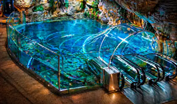 El colosal acuario de China que puedes explorar al sumergirte en el océano con su túnel de 155 metros: tiene una zona inspirada en Sudamérica