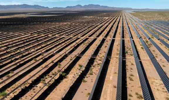 La planta de energía solar más grande de EE. UU. cierra tras causar la muerte de aves: costó más de US$1000 millones