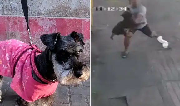Héroe sin capa: joven atrapa en el aire y salva la vida a perrito que cayó desde un tercer piso en El Agustino