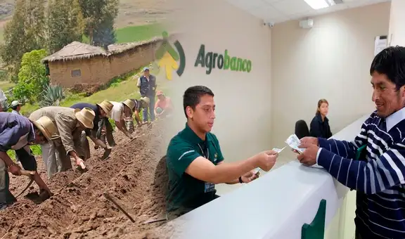 Midagri: Fondo Agroperú destina más de S/226 millones en créditos agropecuarios beneficiando a 14.059 pequeños productores del país