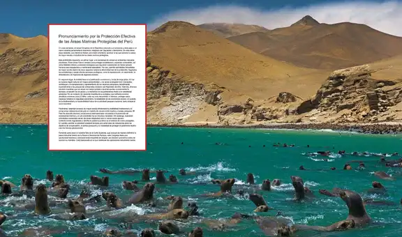 Congreso: Más de 400 científicos piden aprobar ley que protege áreas marinas de la pesca industrial