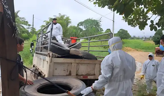 Brote de dengue en San Martín: reportan más de 600 casos y la muerte de un niño de 9 años