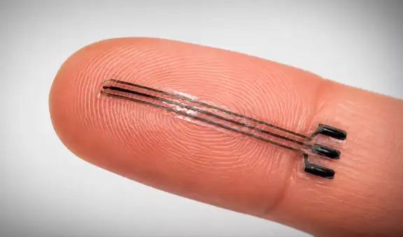 Científicos desarrollan un innovador implante 3D que reduce la presión arterial mediante estimulación eléctrica suave