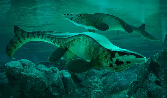 El nuevo T. rex, pero de los océanos: descubren fósiles de una bestia gigante que dominó los mares hace 80 millones de años