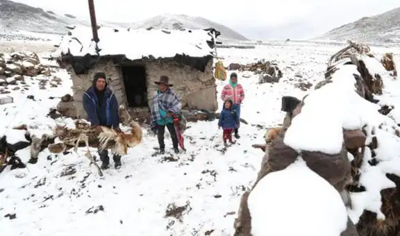 Hasta 5 centímetros de nieve: bajas temperatura dejan muertos, bloquean vías y afectan ganado en estas regiones