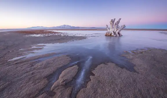 No existe en ningún otro lugar de la Tierra: científicos descubren una criatura misteriosa bajo un lago ultrasalado