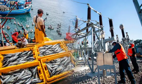 INEI: mientras pesca creció 1.68% y electricidad 4.59%, esta actividad registró una fuerte caída ¿de cuál se trata?