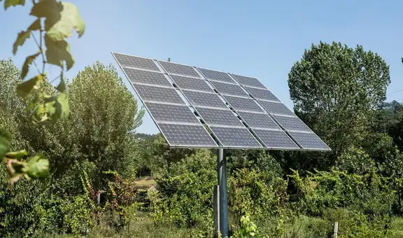 De campos sin vida a ecosistemas verdes: los parques solares en España que reparan el daño histórico de la agricultura intensiva
