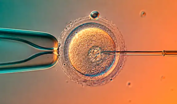 Científicos logran por primera vez modificar el ADN de embriones humanos con gran exactitud y reactivan nuevos debates