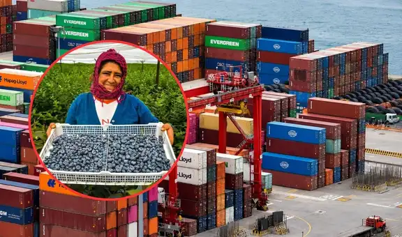Perú rompe la barrera de los US$ 3.000 millones en agroexportaciones y estos son los alimentos que impulsan el crecimiento