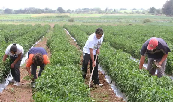 El Niño Costero seguiría hasta 2027: el próximo gobierno enfrentará un nuevo desafío para la economía peruana
