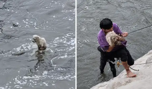 Joven arriesga su vida y salva a perrito que cayó al río Rímac: "Lo vi y solo pensé en rescatarlo"