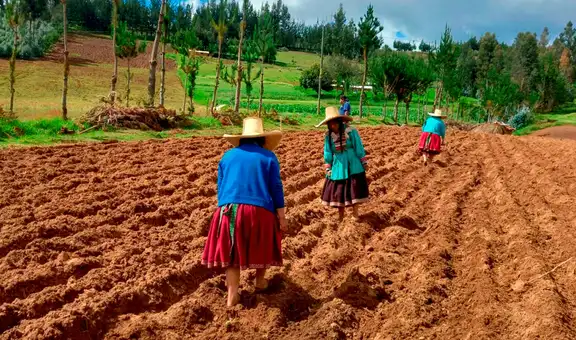 Gobierno aprueba endeudamiento externo por US$ 26 millones con el FIDA para financiar el proyecto Mercagro: ¿qué implica?
