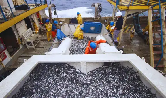 Produce suspende la pesca de anchoveta en la zona Norte-Centro ante condiciones cálidas del mar