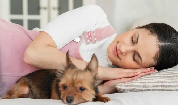 Dormir con tu perro o gato podría estar ligado a una necesidad emocional profunda, según la psicología