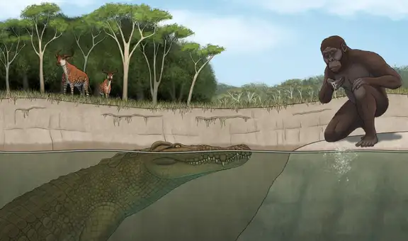 El cazador de Lucy fue revelado por los científicos: un cocodrilo gigante aterrorizó a los primeros ancestros humanos