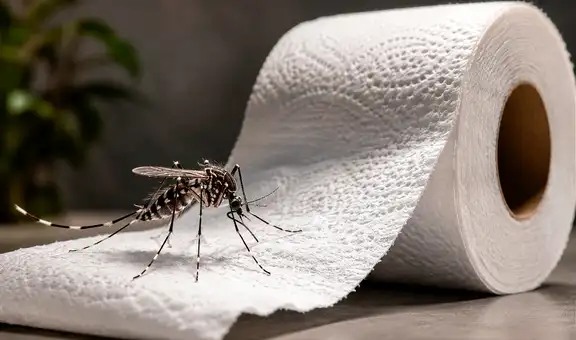 El truco del papel higiénico para ahuyentar mosquitos de forma rápida y efectiva: diles adiós con estos simples pasos