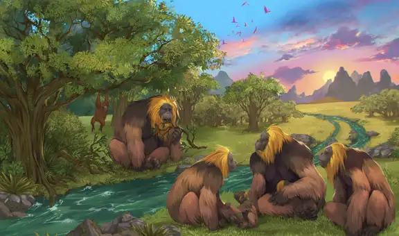 China descubre unos dientes fosilizados que llenan el vacío en la historia del primate más grande conocido