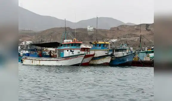 En Pucusana, pescadores artesanales acusan competencia desleal y depredación de flotas industriales