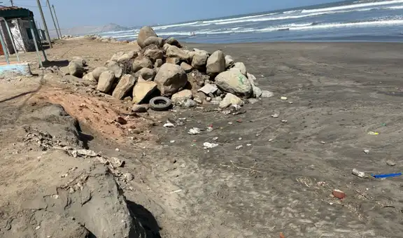 Fenómeno El Niño arrasa con la vida de aves marinas en Piura, Lambayeque y Trujillo