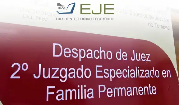 Segundo Juzgado de Familia de Tumbes resuelve proceso de tenencia en solo tres días