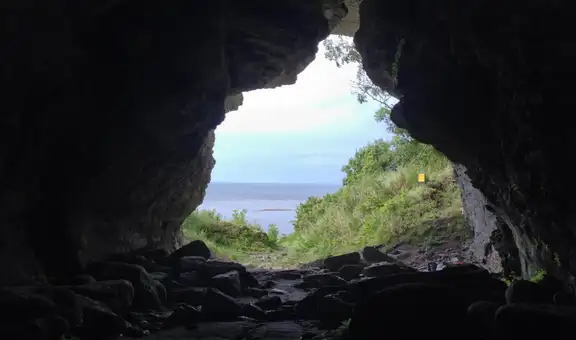 El descubrimiento de lobos de 5.000 años de antigüedad en una isla remota desafía lo que sabemos sobre la domesticación