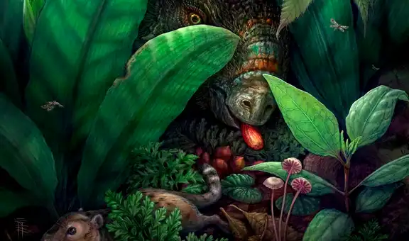 Fósiles revelan que las primeras plantas en florecer usaron frutos carnosos para que los dinosaurios dispersaran sus semillas