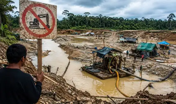 Entre el crimen organizado y la deuda con la Amazonía: los desafíos ambientales del próximo gobierno
