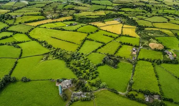 El hallazgo arqueológico de la Edad del Bronce que reescribe el origen urbano de Europa: surgió en Irlanda hace más de 3.000 años