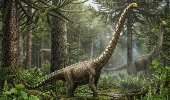 Paleontólogos identifican una nueva especie de dinosaurio gigante gracias a un pequeño hueso