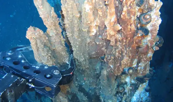 Japón descubre el lugar perfecto para una mina de oro: un cráter volcánico bajo el mar