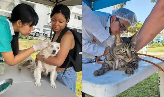 Campaña veterinaria gratuita este 16 de julio en Cercado de Lima: consulta el horario y los servicios para mascotas