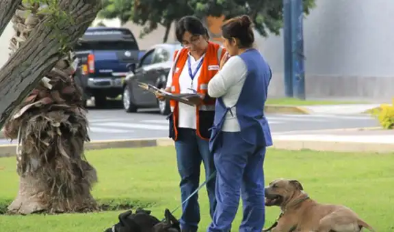 Sunafil propone nueva directiva para fiscalizar el trabajo del hogar