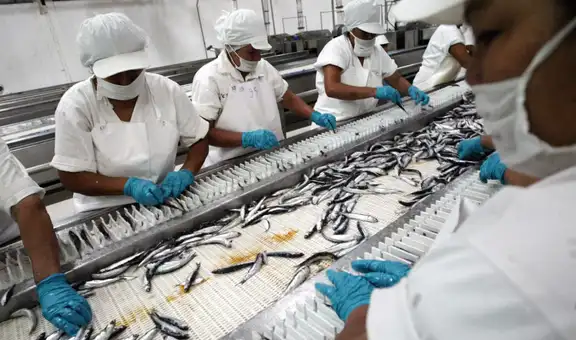 PBI peruano desacelera a 1,8% en mayo tras desplome de la pesca y caída de la manufactura