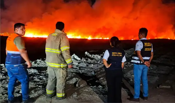 Emergencia en Áncash: incendio forestal consume más de 10 hectáreas de humedales en Nuevo Chimbote
