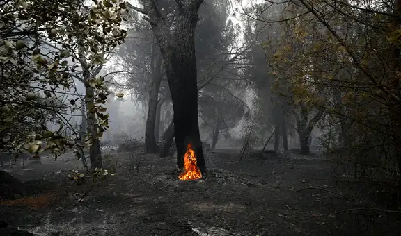 Diversos incendios forestales golpean España, Francia y Portugal en medio de temperaturas que podrían alcanzar los 40 °C