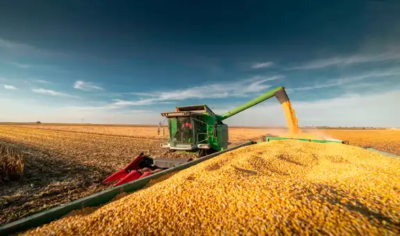 Este país de América Latina rompe todos los récords con la mayor cosecha de maíz de su historia: supera los 70 millones de toneladas