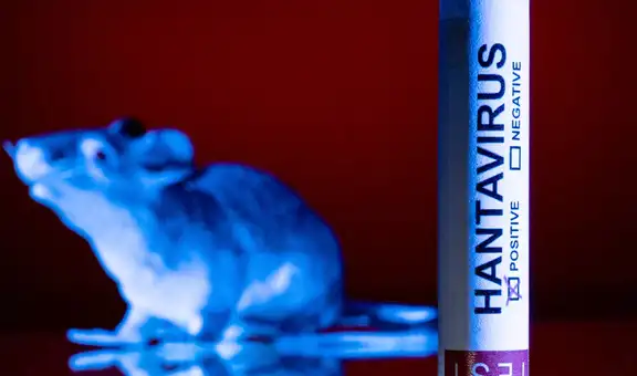 Chile activa alerta sanitaria por hantavirus mientras aumentan los fallecidos y preocupa la alta letalidad
