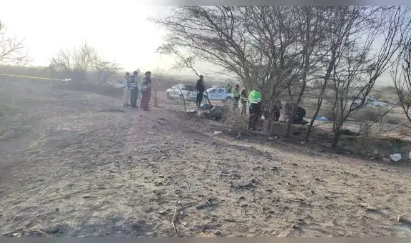 Nasca: Identifican a 11 turistas y dos tripulantes de fatídica avioneta