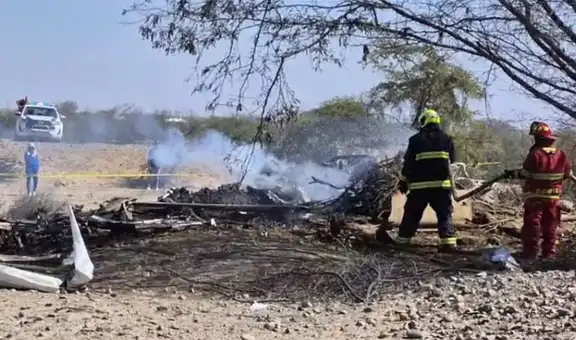 Nasca: realizarán pruebas de ADN a los 11 turistas extranjeros fallecidos en trágico accidente aéreo