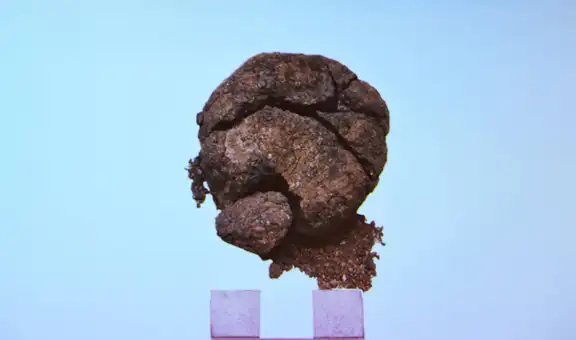 Arqueólogos turcos encontraron un pan de 8.600 años de antiguedad sorprendentemente bien conservado