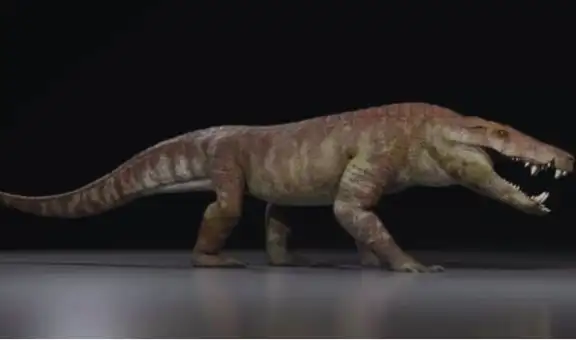 La Patagonia escondía un depredador de más de 50 dientes que corría por tierra y pudo cazar dinosaurios hace millones de años