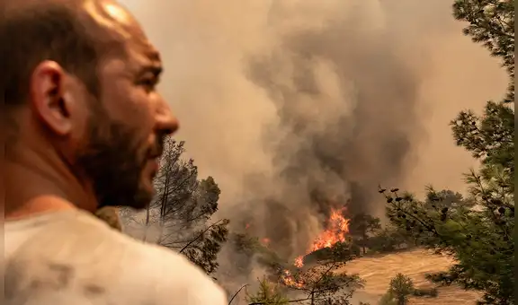 Sequía, incendios y alertas sanitarias: nueva ola de calor golpea varios países de Europa con temperaturas históricas