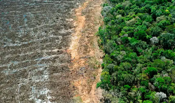 Brasil recibiría un mayor impacto de El Niño tras perder una vegetación dos veces mayor que toda Francia, según estudio