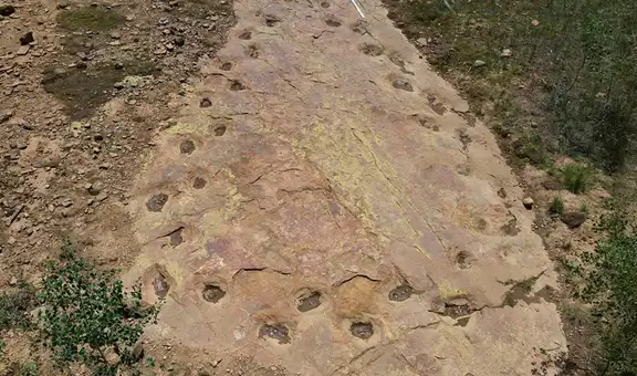Unas huellas de dinosaurios de 150 millones de años revelan algo extraño en su forma de caminar