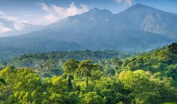 La nueva capital que se construye desde cero en la selva: costará 33.000 millones y tendrá espacio para 1,9 millones de personas