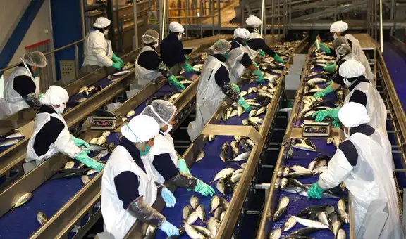 PBI creció 3,05% hasta junio, pero pesca y manufactura retrocedieron