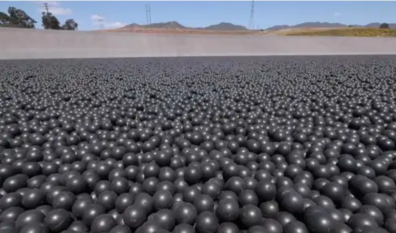 Gastaron 34 millones de dólares en 96 millones de bolas negras para proteger un depósito de agua y ahora deben retirarlas