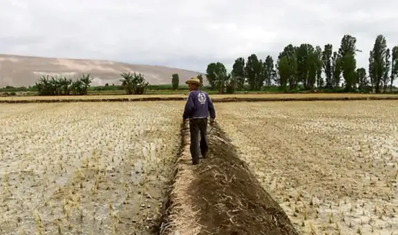 El Niño 2026-2027: sequía en la sierra podría alcanzar niveles similares a los de 1982-83