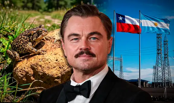 El proyecto eléctrico entre Chile y Argentina que Leonardo DiCaprio llamó “catastrófico” y terminó paralizado por un insólito motivo